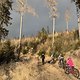 IMG 7335