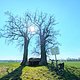 Steine besuchen - neue Wege bei strammem Ostwind