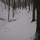 IMG 0404
