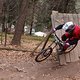 IMG 3320