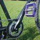 purple bike-ssp 03
