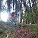 IMG 0850-ck