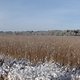 P1120638-