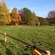 Herbst