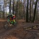 IMG 1781