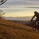 Alpenvorland + Bike + Sonnenuntergang = EPIC...