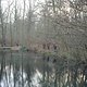 keiner im Teich gelandet