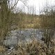 Eichwerder Moorwiesen