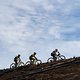 Henrique Avancini of Cannondale Factory Racing leads during stage 2 of the 2019 Absa Cape Epic Mountain Bike stage race from Hermanus High School in Hermanus to Oak Valley Estate in Elgin, South Africa on the 19th March 2019

Photo by Nick Muzik/Ca