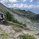 IMG 4293