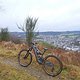 Schlamm, Wurzeln und Regen