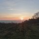 IMG 20250120 164251