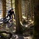 Schwalbe Clik Valve Specialized Stumpjumper 2025 PSturm-32