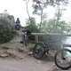 IMG 3016