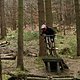 Opening in Schulenberg