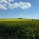 Lerchenberg