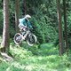 IMG 0501