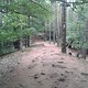20140614 125938 (Large)
