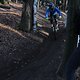 IMG 1852