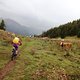 TransVerdon2016 (24)