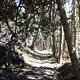 TransVerdon2016 (71)