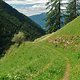 Jaufenpass Trail