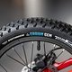 Für Kontrolle, Dämpfung und Grip sorgen an allen Bikes fette Veetire-Reifen.