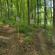 Gratis Trailcenter WB