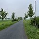 IMG 5904