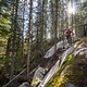 BC Whistler - A Rockwork Organge