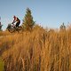 IMG 2637