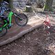 Bike Beerfelden P 173