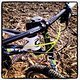 Cockpit: Avid Elixir X.0 grün, Jagwire Ripcord L3 grün, Syntace Vector Carbon 740mm