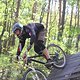 IMG 4795