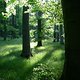 Sommerrevier0019