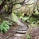 DSC04338