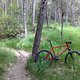 Cannondale M800 (2014)