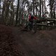 IMG 2040