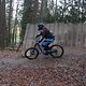 IMG 1166