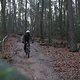IMG 1241