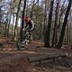 IMG 1766