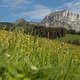 Traumhafte Schweizer Alpenlandschaft
