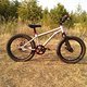 Umbau Early Rider Belter 16&quot;