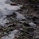 IMG 1501 opti