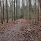 Winterpokal-Aktivität