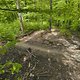 Gratis Wurzeltrail