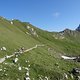 DSC02828