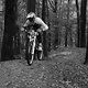 IMG 7154