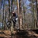 Bike Beerfelden P 296