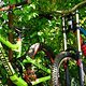 YT &amp; Commencal
